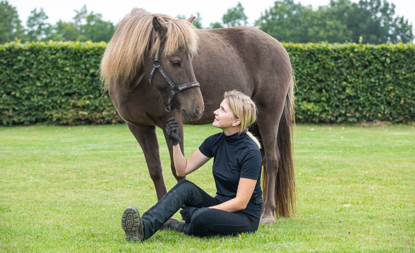 Hesteejer og hest kigger hinanden i øjnene på græsplæne